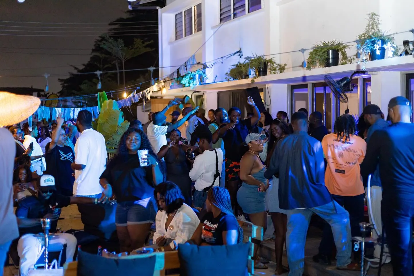 The garden at night, full